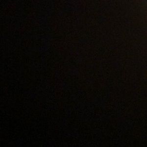 Meet your Posher, Anne